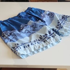 Blue Scenic Men's Shorts